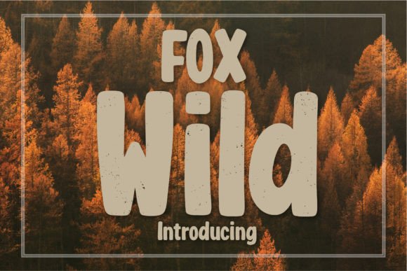 Fox Wild: A Playful Display Font for Web Designers