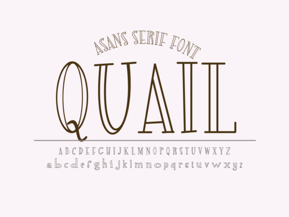 Make Your Campaigns Pop with Quail Display Font